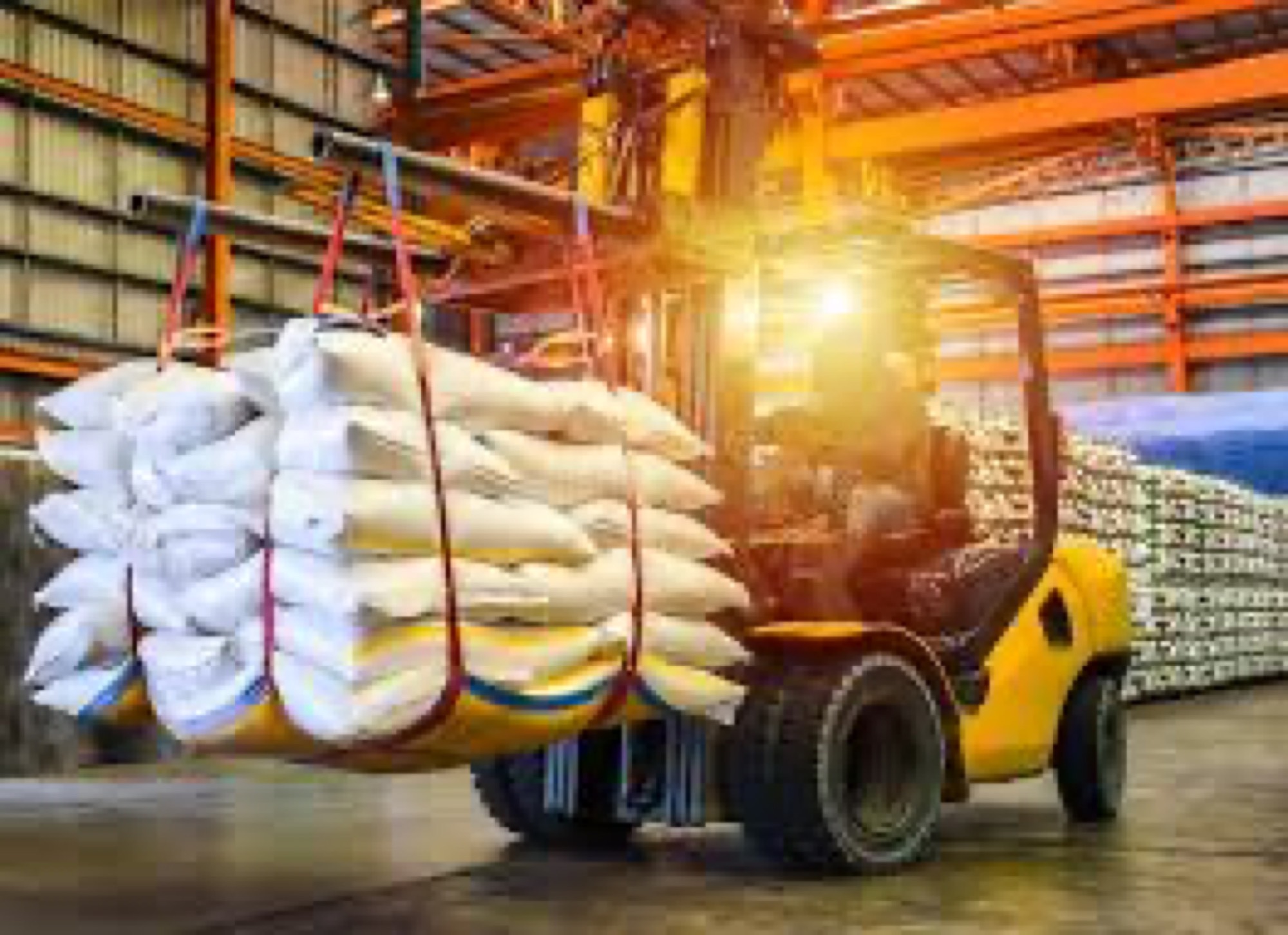 Export cargo handling