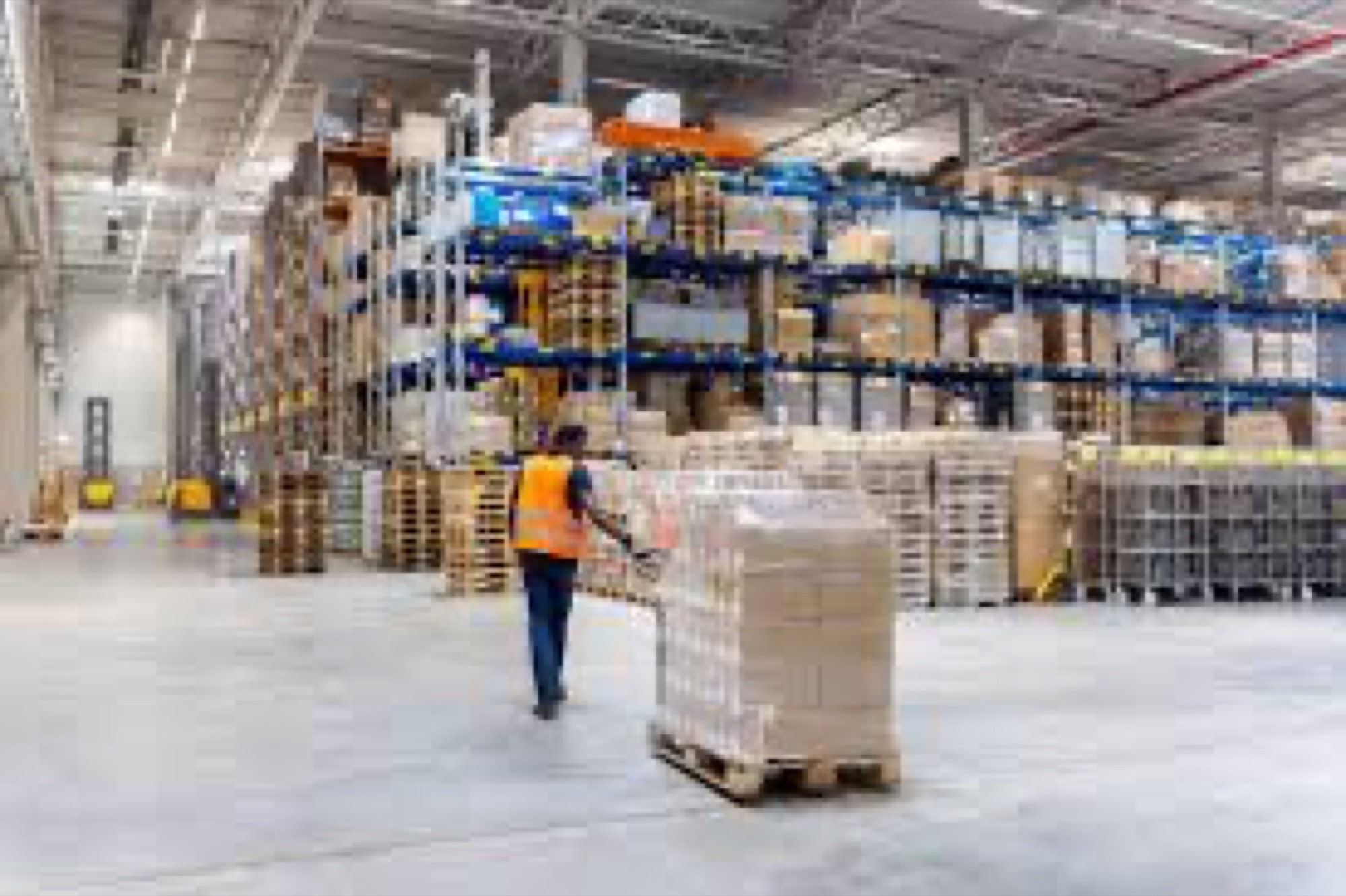 Export warehouse and distribution